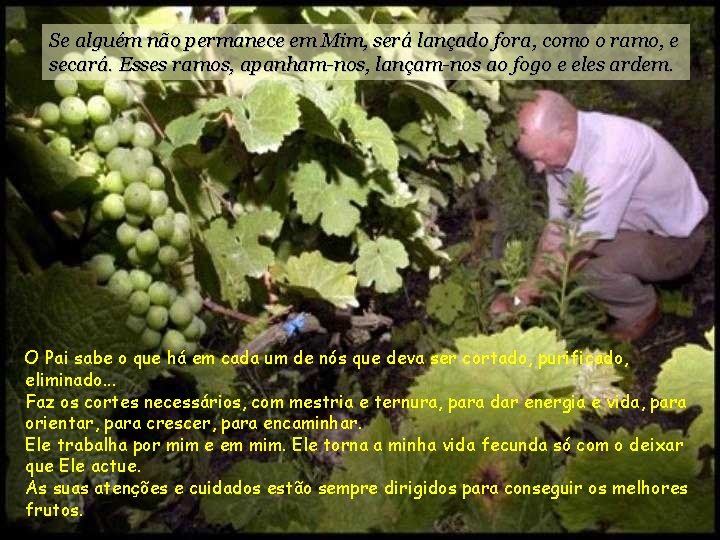 Se alguém não permanece em Mim, será lançado fora, como o ramo, e secará.