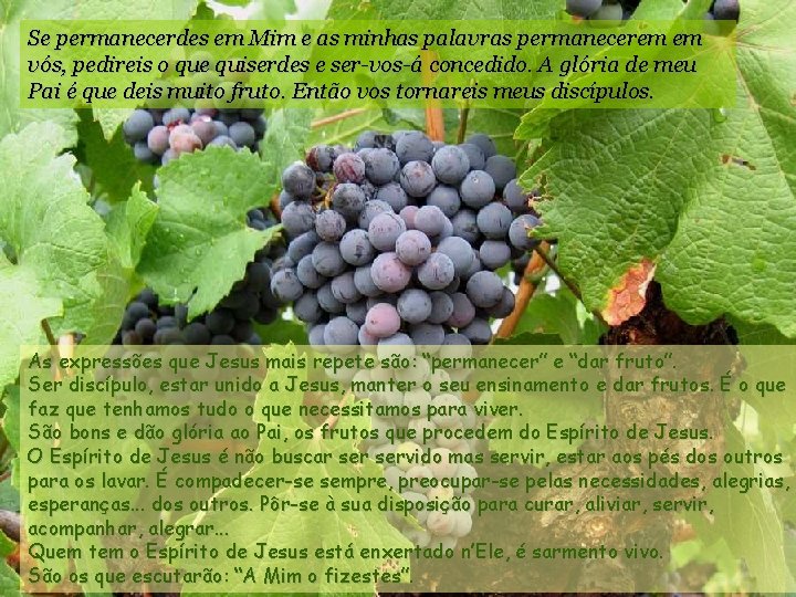 Se permanecerdes em Mim e as minhas palavras permanecerem em vós, pedireis o que