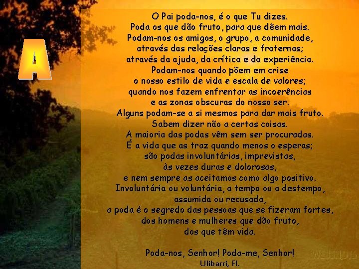 O Pai poda-nos, é o que Tu dizes. Poda os que dão fruto, para