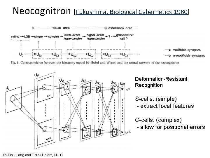 Neocognitron [Fukushima, Biological Cybernetics 1980] Deformation-Resistant Recognition S-cells: (simple) - extract local features C-cells: