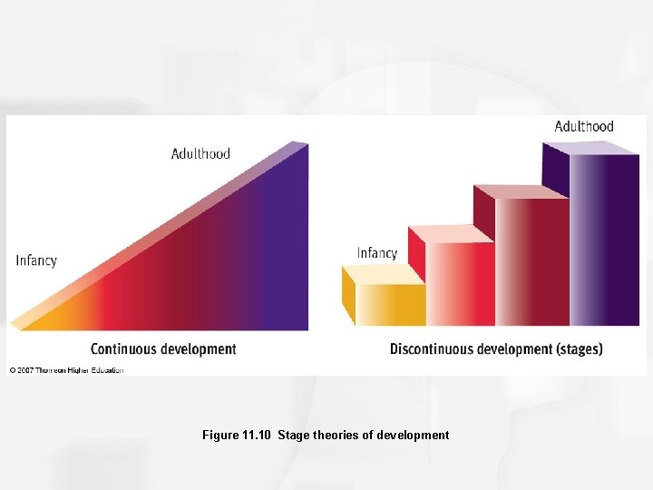 Figure 11. 10 Stage theories of development 