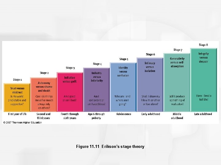 Figure 11. 11 Erikson’s stage theory 