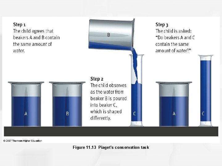 Figure 11. 13 Piaget’s conservation task 