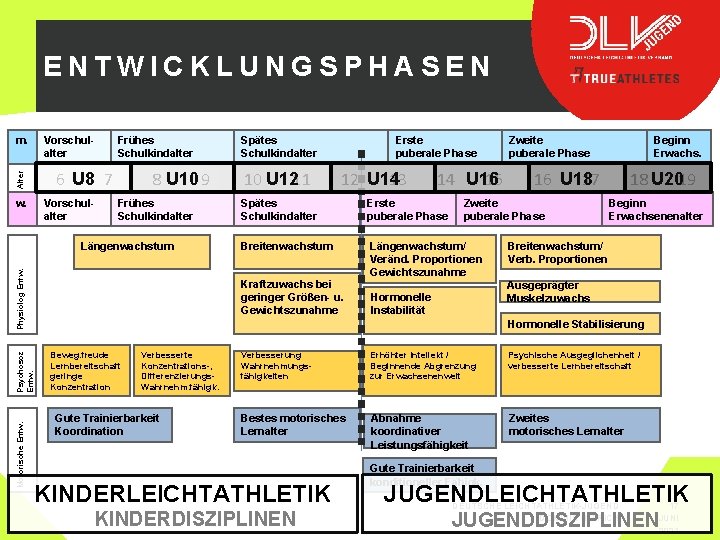 ENTWICKLUNGSPHASEN Frühes Schulkindalter Vorschulalter m. Alter 6 U 8 7 Vorschulalter w. 8 U