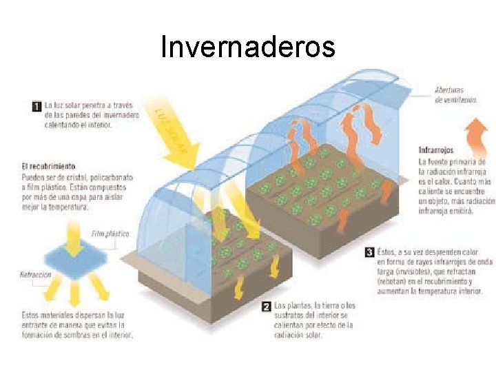 Invernaderos 