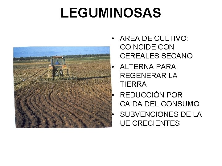 LEGUMINOSAS • AREA DE CULTIVO: COINCIDE CON CEREALES SECANO • ALTERNA PARA REGENERAR LA