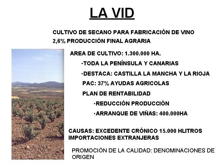 LA VID CULTIVO DE SECANO PARA FABRICACIÓN DE VINO 2, 6% PRODUCCIÓN FINAL AGRARIA