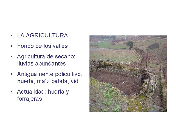  • LA AGRICULTURA • Fondo de los valles • Agricultura de secano: lluvias