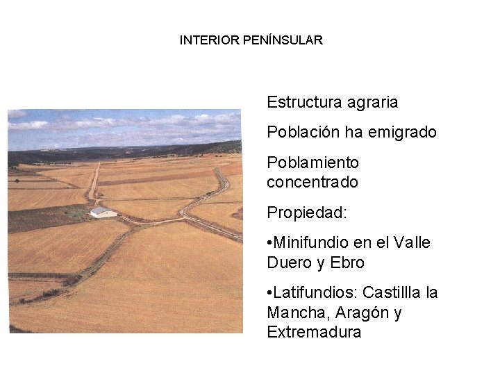 INTERIOR PENÍNSULAR Estructura agraria Población ha emigrado Poblamiento concentrado Propiedad: • Minifundio en el