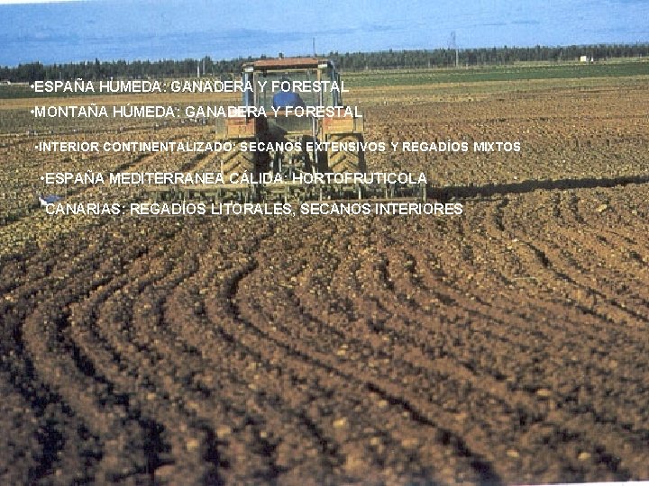  • ESPAÑA HUMEDA: GANADERA Y FORESTAL • MONTAÑA HÚMEDA: GANADERA Y FORESTAL •