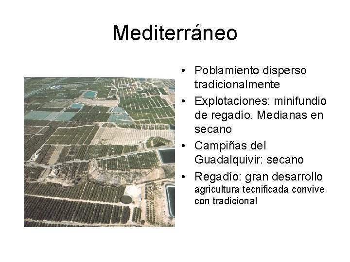 Mediterráneo • Poblamiento disperso tradicionalmente • Explotaciones: minifundio de regadío. Medianas en secano •