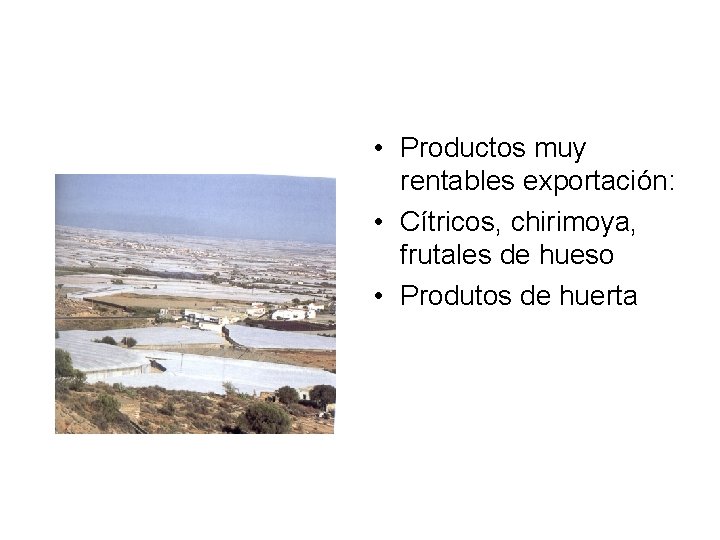  • Productos muy rentables exportación: • Cítricos, chirimoya, frutales de hueso • Produtos