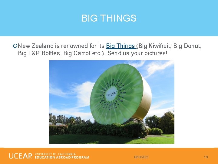 BIG THINGS New Zealand is renowned for its Big Things (Big Kiwifruit, Big Donut,