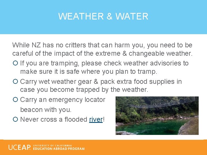 WEATHER & WATER While NZ has no critters that can harm you, you need