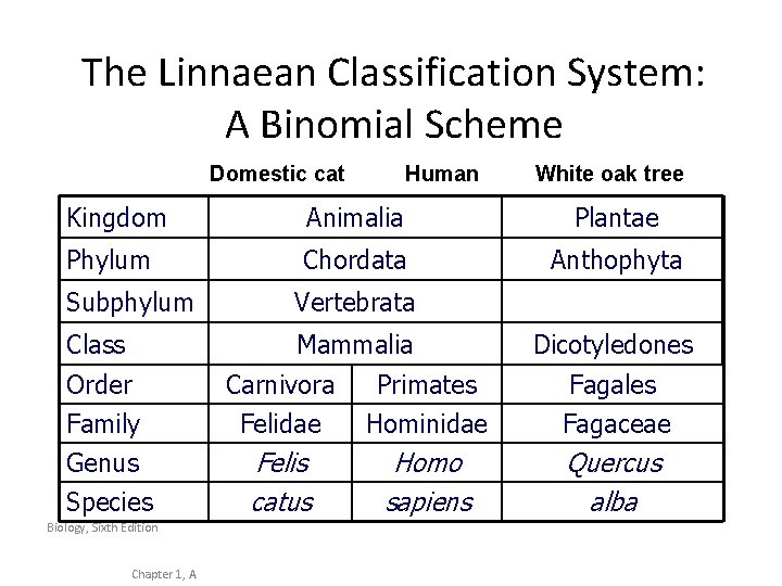 The Linnaean Classification System: A Binomial Scheme Domestic cat Human White oak tree Kingdom