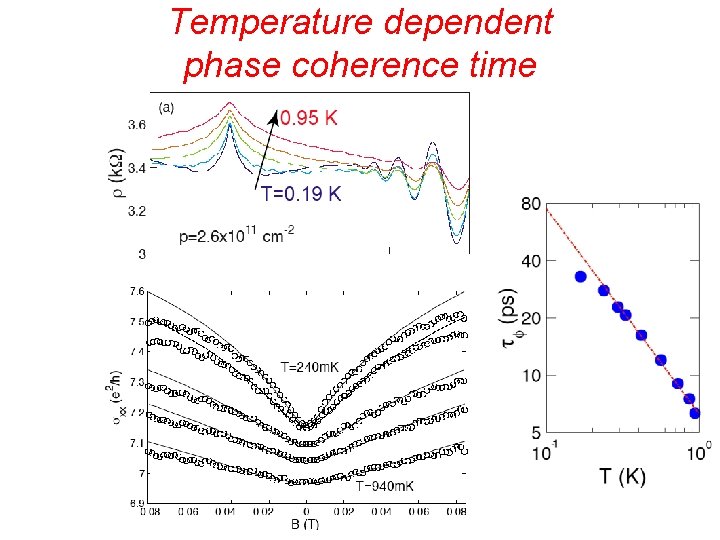Temperature dependent phase coherence time 