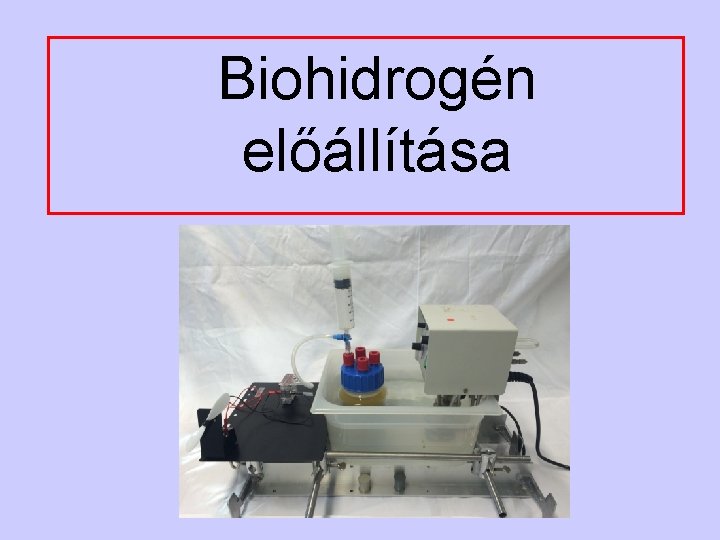 Biohidrogén előállítása 