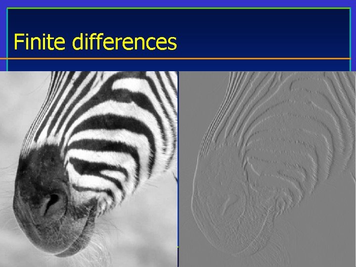 Finite differences CS 8690 Computer Vision University of Missouri at Columbia 