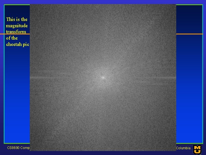 This is the magnitude transform of the cheetah pic CS 8690 Computer Vision University