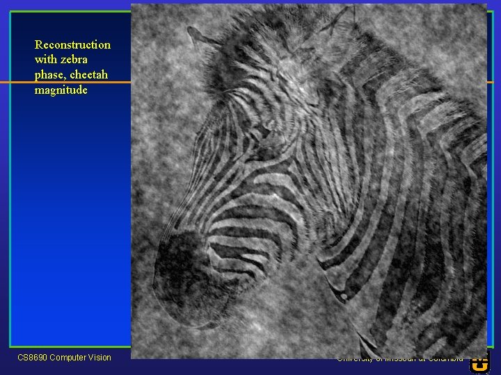 Reconstruction with zebra phase, cheetah magnitude CS 8690 Computer Vision University of Missouri at