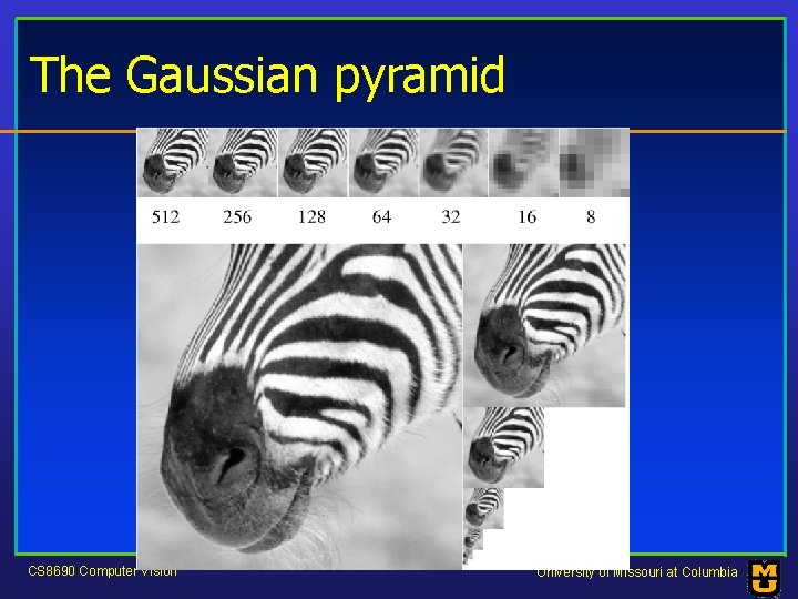 The Gaussian pyramid CS 8690 Computer Vision University of Missouri at Columbia 