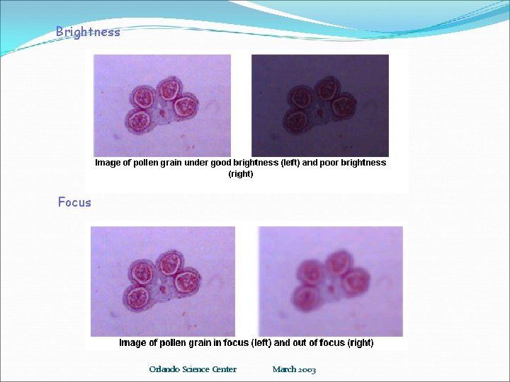 Brightness Focus Orlando Science Center March 2003 