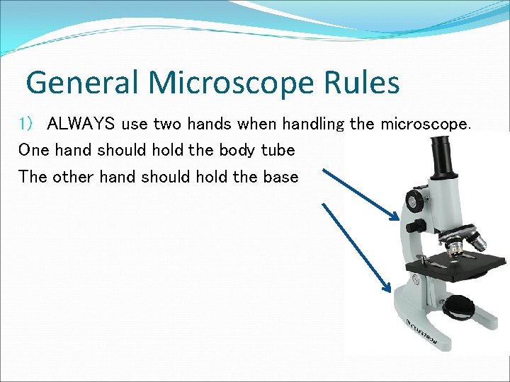 General Microscope Rules 1) ALWAYS use two hands when handling the microscope. One hand