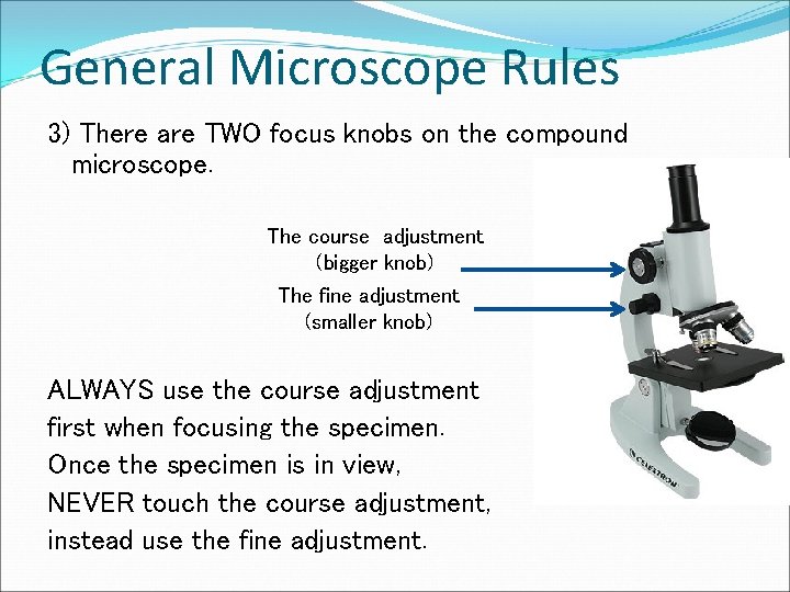 General Microscope Rules 3) There are TWO focus knobs on the compound microscope. The
