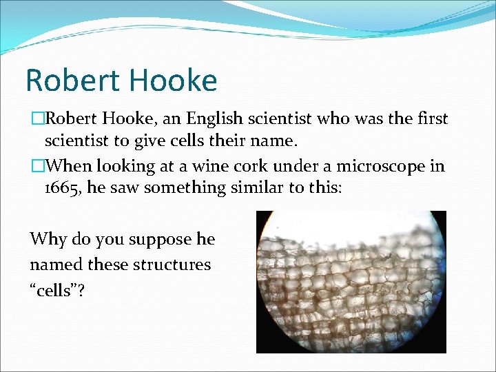 Robert Hooke �Robert Hooke, an English scientist who was the first scientist to give