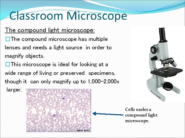 Classroom Microscope The compound light microscope: �The compound microscope has multiple lenses and needs
