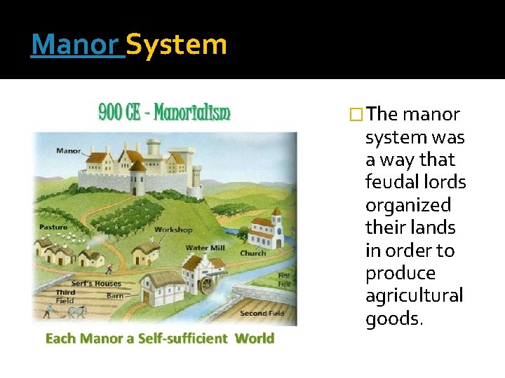 Manor System �The manor system was a way that feudal lords organized their lands