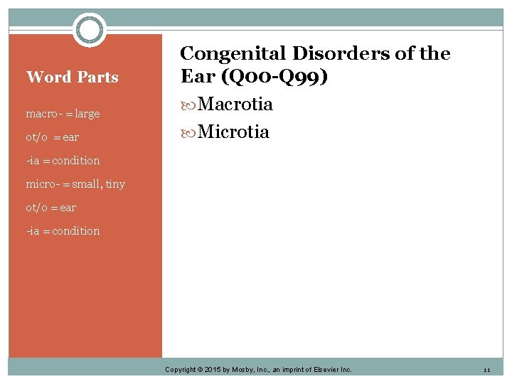 Word Parts macro- = large ot/o = ear Congenital Disorders of the Ear (Q