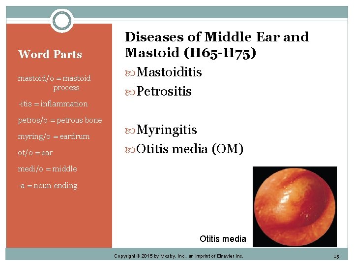 Word Parts mastoid/o = mastoid process Diseases of Middle Ear and Mastoid (H 65