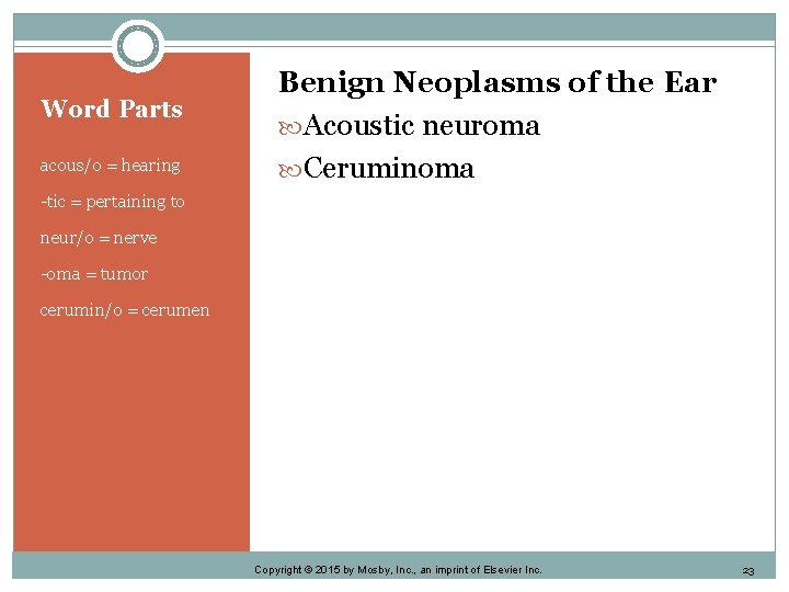 Word Parts acous/o = hearing Benign Neoplasms of the Ear Acoustic neuroma Ceruminoma -tic