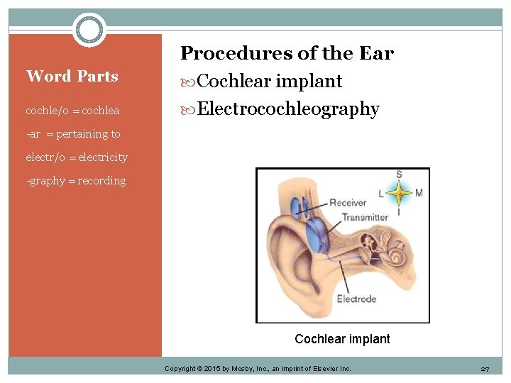 Word Parts cochle/o = cochlea Procedures of the Ear Cochlear implant Electrocochleography -ar =