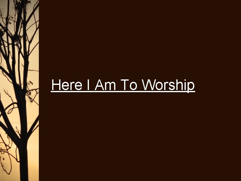 Here I Am To Worship 