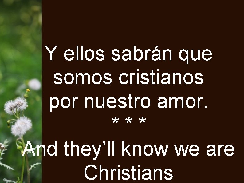 Y ellos sabrán que somos cristianos por nuestro amor. *** And they’ll know we