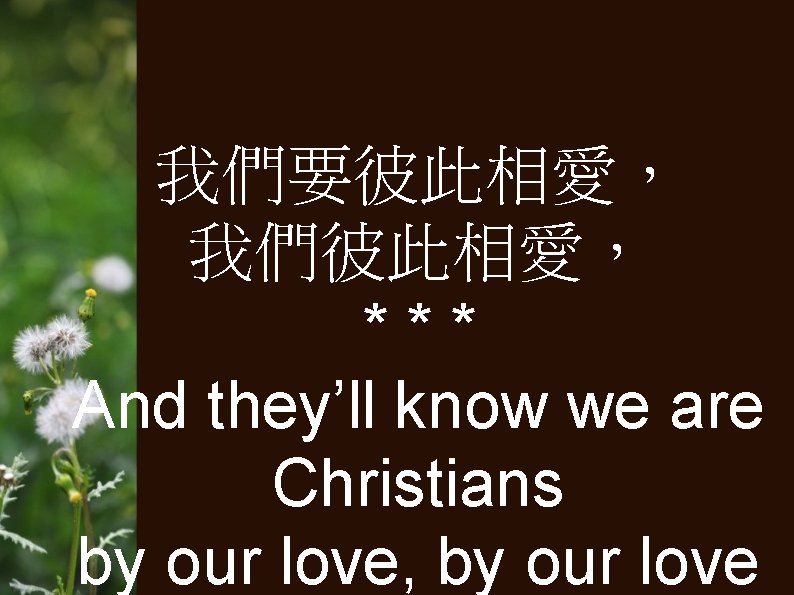 我們要彼此相愛， 我們彼此相愛， *** And they’ll know we are Christians by our love, by our