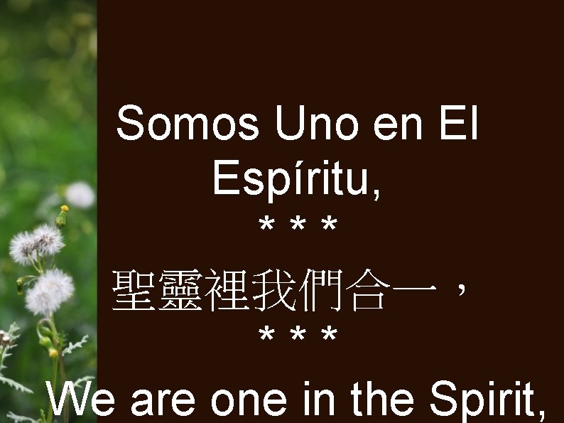 Somos Uno en El Espíritu, *** 聖靈裡我們合一， *** We are one in the Spirit,