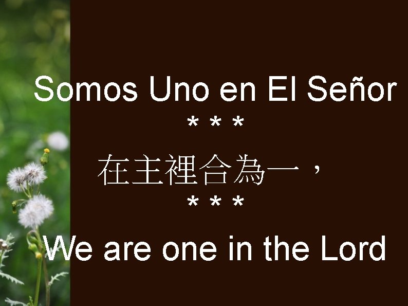 Somos Uno en El Señor *** 在主裡合為一， *** We are one in the Lord