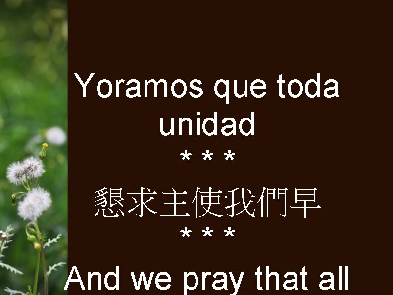 Yoramos que toda unidad *** 懇求主使我們早 *** And we pray that all 