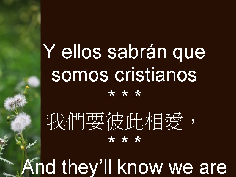 Y ellos sabrán que somos cristianos *** 我們要彼此相愛， *** And they’ll know we are