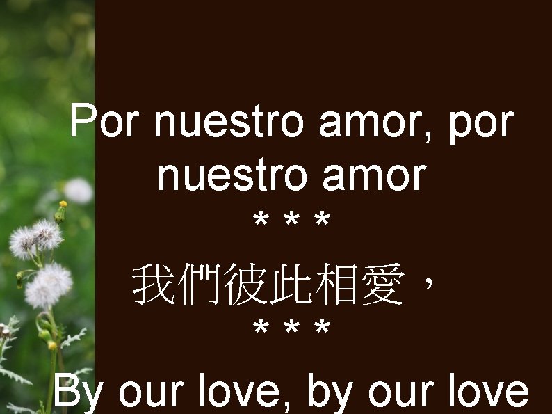 Por nuestro amor, por nuestro amor *** 我們彼此相愛， *** By our love, by our