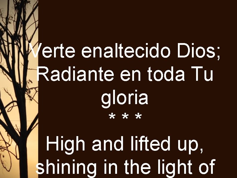 Verte enaltecido Dios; Radiante en toda Tu gloria *** High and lifted up, shining