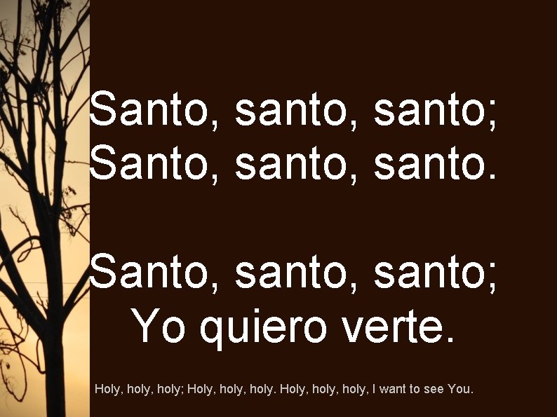 Santo, santo; Yo quiero verte. Holy, holy; Holy, holy, I want to see You.