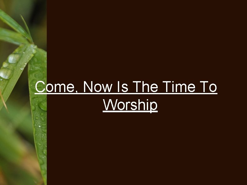 Come, Now Is The Time To Worship 
