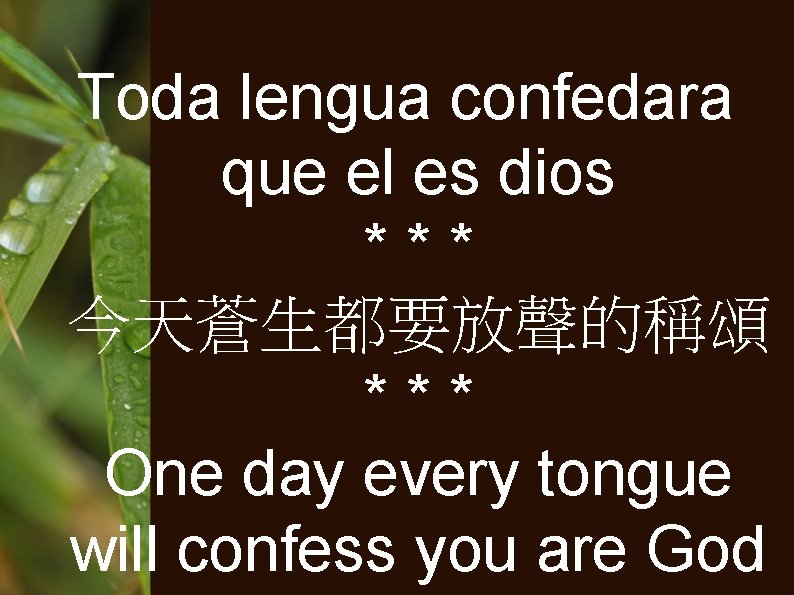 Toda lengua confedara que el es dios *** 今天蒼生都要放聲的稱頌 *** One day every tongue
