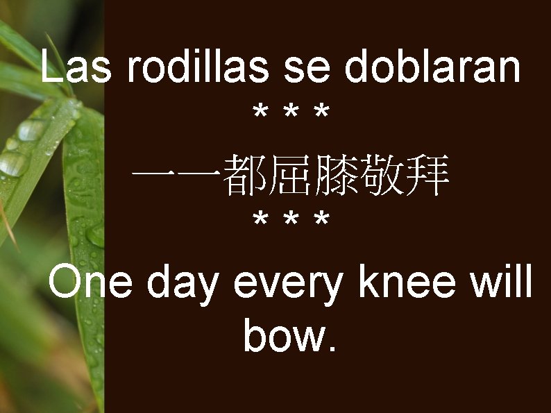 Las rodillas se doblaran *** 一一都屈膝敬拜 *** One day every knee will bow. 