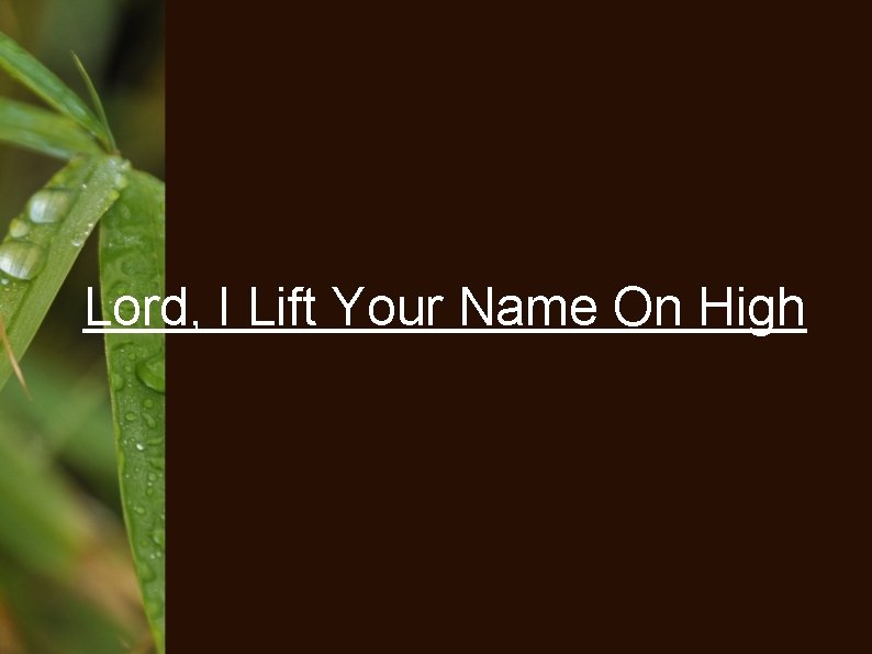 Lord, I Lift Your Name On High 
