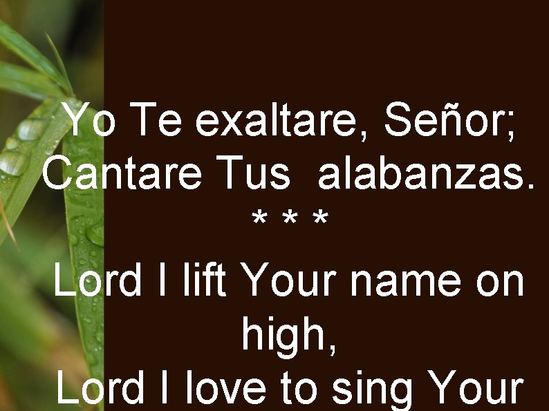 Yo Te exaltare, Señor; Cantare Tus alabanzas. *** Lord I lift Your name on